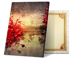 Aanzicht foto op canvas voor- en achterzijde