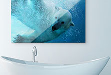 Badkamer met ijsbeer op plexiglas