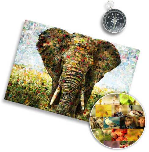 Fotomozaiek van een olifant van vele foto's