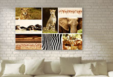 Wilde dieren fotocollage als woonruimtevoorbeeld