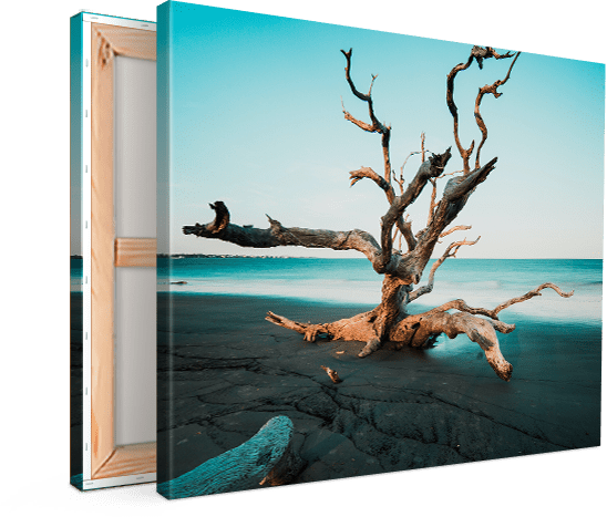 Onophoudelijk bal Harden Goedkope canvas | Houten frame | GRATIS verzending