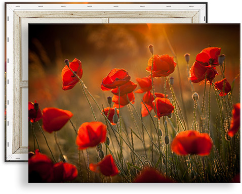 Panorama canvas | foto | Gratis verzending